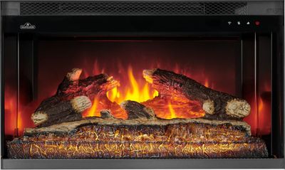 Napoleon: Rosedale Electric Built-in NEFB26H